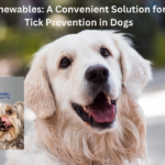 Nexgard Chewables: A Convenient Solution for Flea and Tick Prevention in Dogs