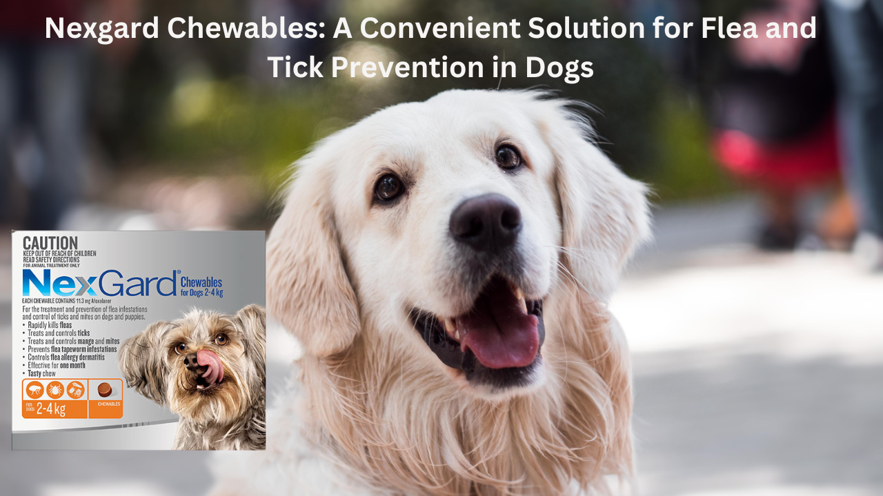 Nexgard Chewables: A Convenient Solution for Flea and Tick Prevention in Dogs
