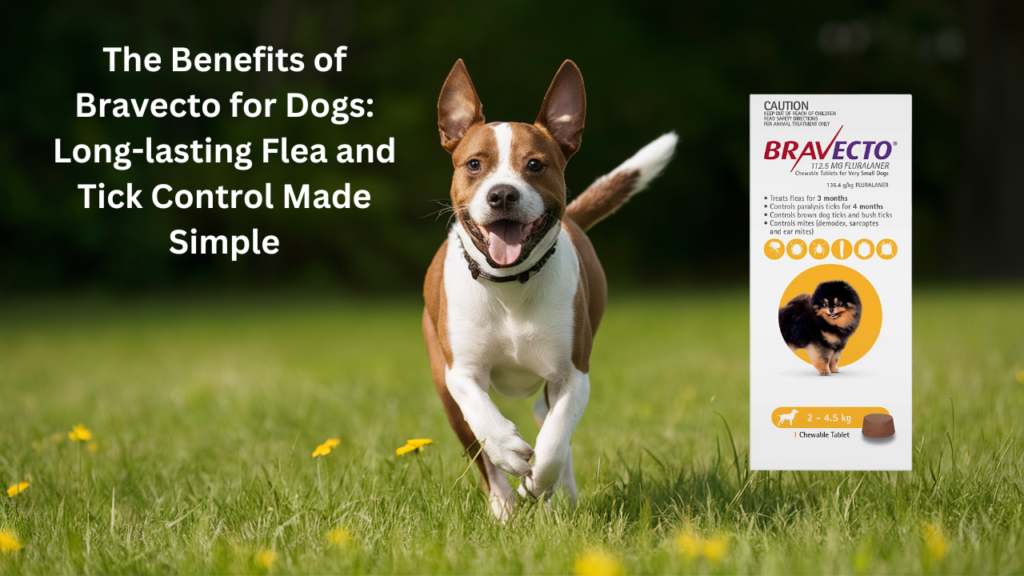 Bravecto for Dogs