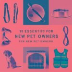 10 Essential Dog Supplies Every New Owner Needs