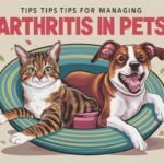 Managing Arthritis in Pets: Tips for Improving Joint Health and Mobility