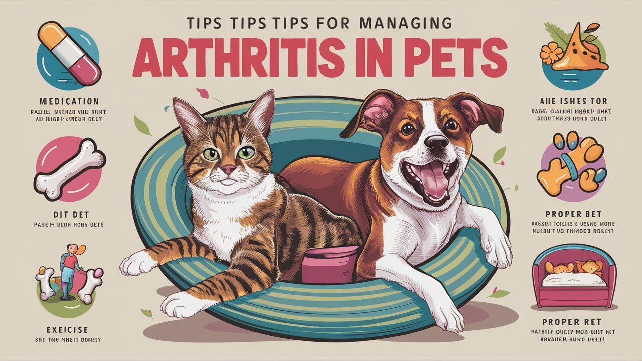 Managing Arthritis in Pets: Tips for Improving Joint Health and Mobility