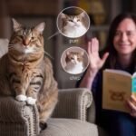 Dealing with Cat Vocalizations: Interpreting Meows, Purrs, and Other Sounds