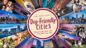 Dog-Friendly Cities in the USA