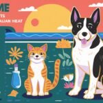 Summer Safety Tips for Pets