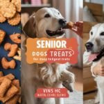 Senior Dog Treats : Soft and Easy-to-Digest Options for Aging Canines