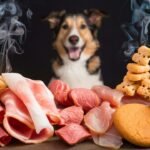 The Best Treats for Training Your Dog