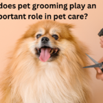 Why does pet grooming play an important role in pet care?