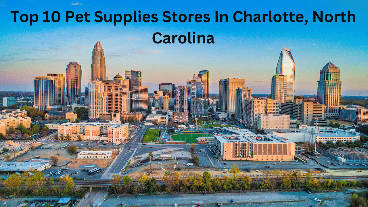 Top 10 Pet Supplies Stores in Charlotte, North Carolina