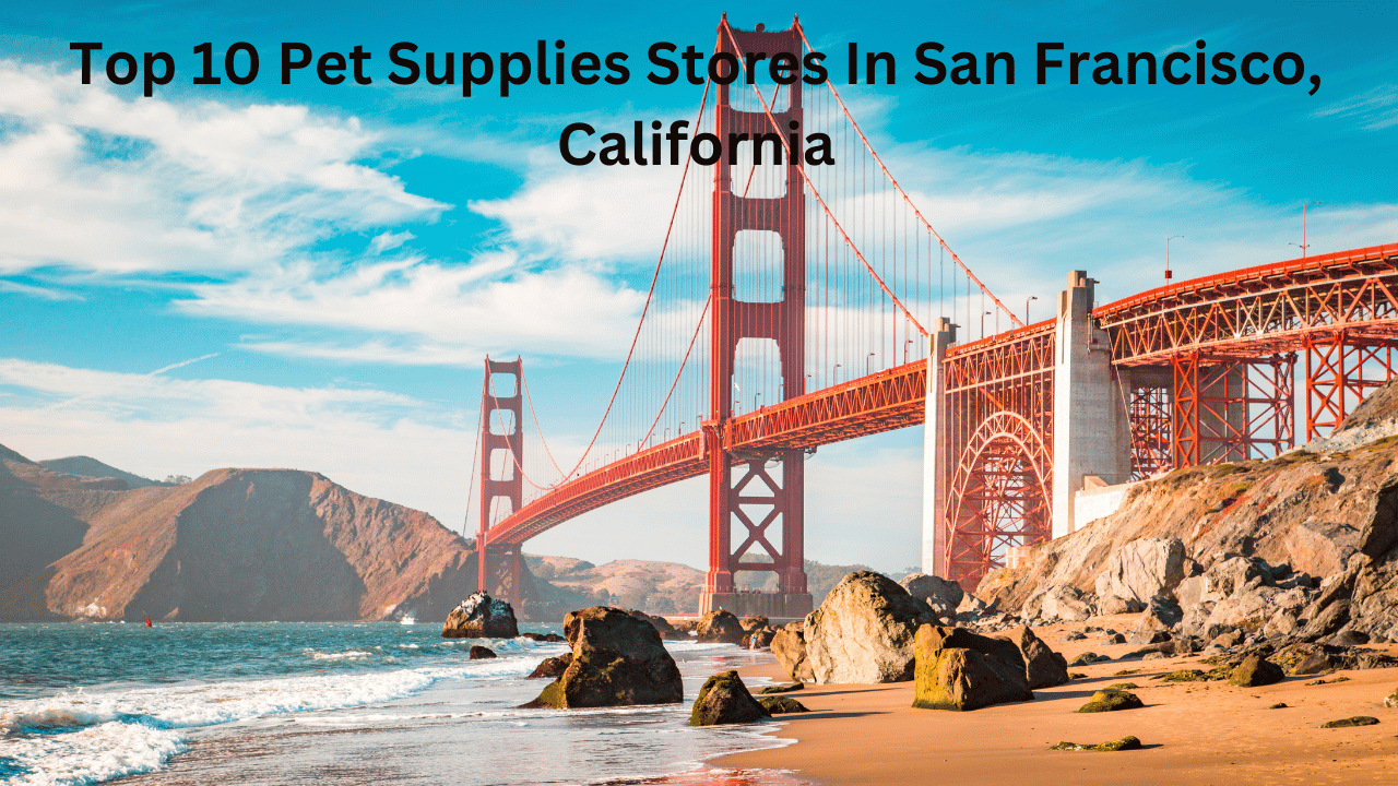Top 10 Pet Supplies Stores In San Francisco, California