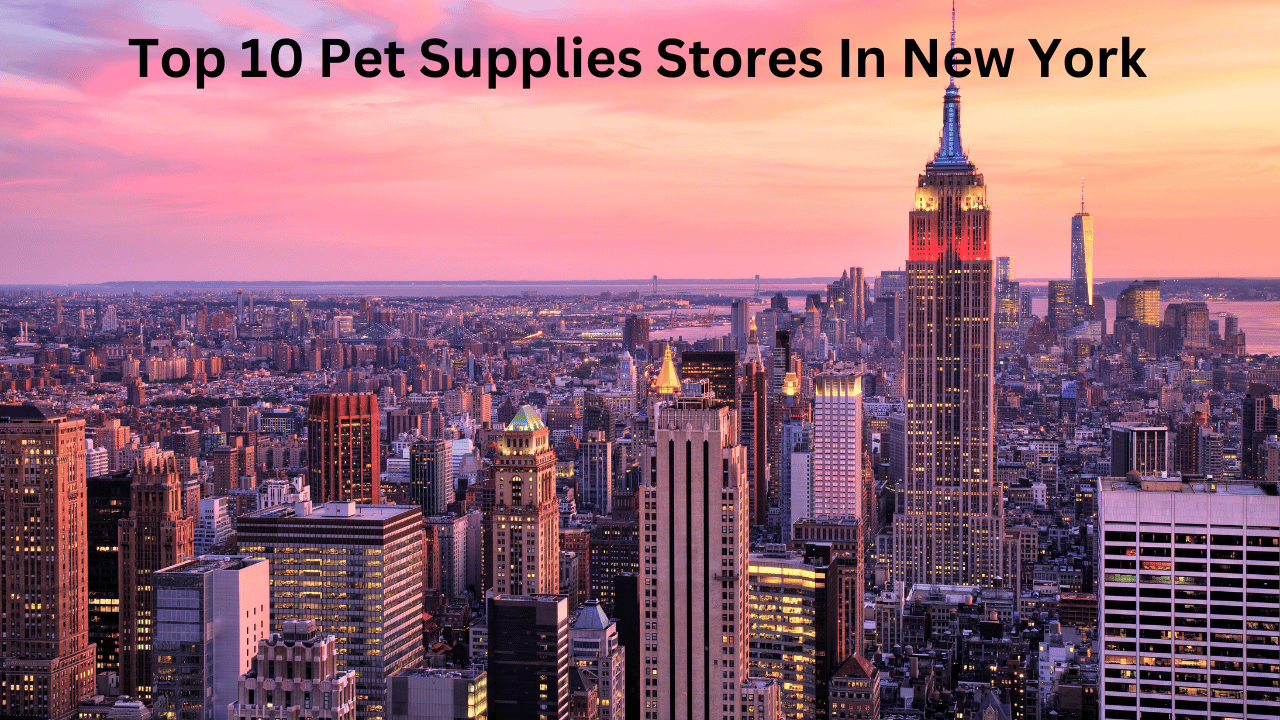 Top 10 Pet Supplies Stores In New York