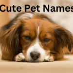 Cute Pet Names