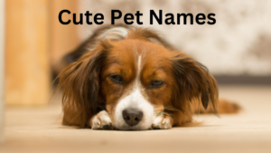 Cute Pet Names