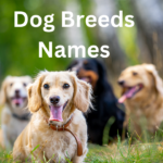 Dog Breeds Names