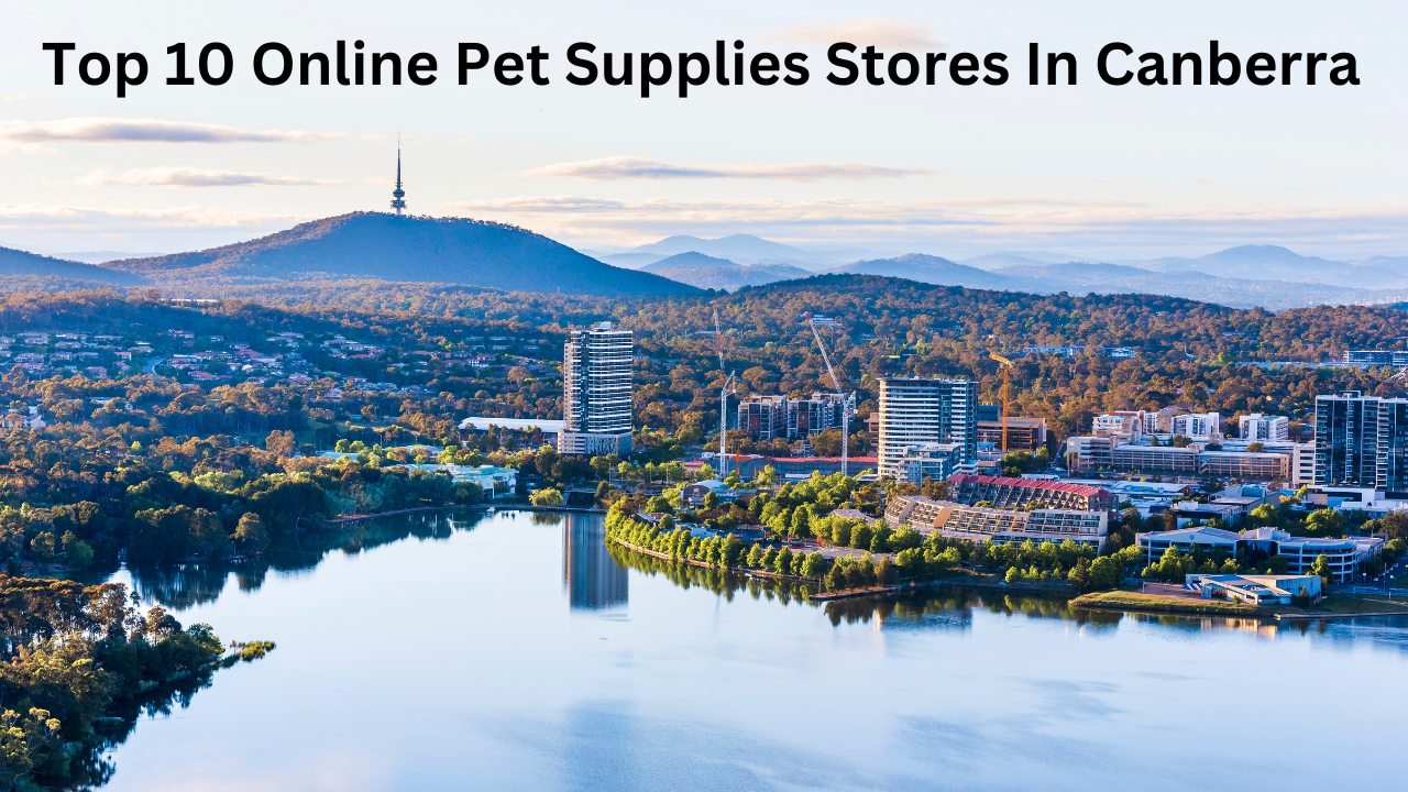 Top 10 Online Pet Supplies Stores In Canberra