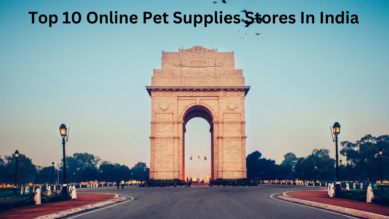 Top 10 Online Pet Supplies Stores In India