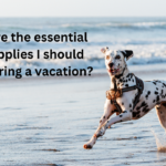 What are the essential dog supplies I should carry during a vacation?