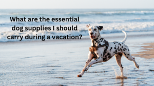 What are the essential dog supplies I should carry during a vacation?