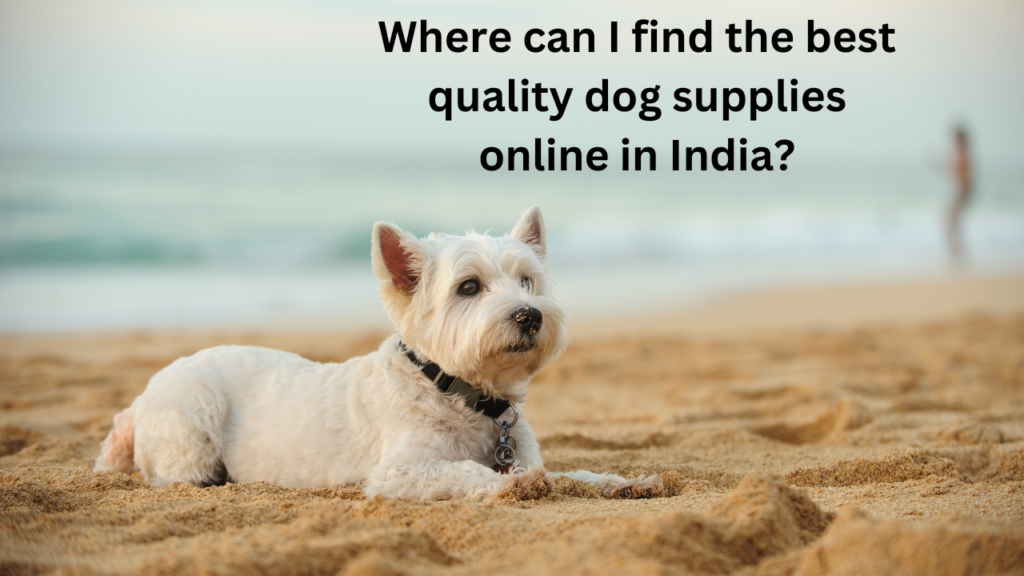 Where can I find the best quality dog supplies online in India?