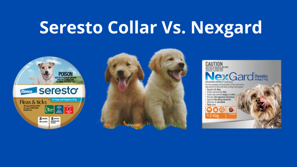 Seresto Collar Vs. Nexgard