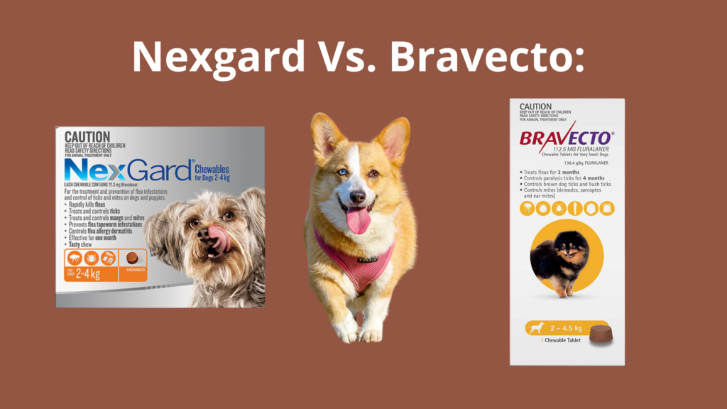 Nexgard Vs. Bravecto