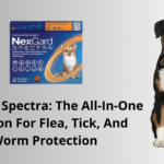 Nexgard Spectra: The All-in-One Solution for Flea, Tick, and Worm Protection