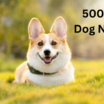 500 Girl Dog Names