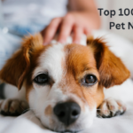 Top 100 Lovely Pet Names