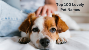 Top 100 Lovely Pet Names