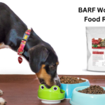 BARF World Dog Food Review