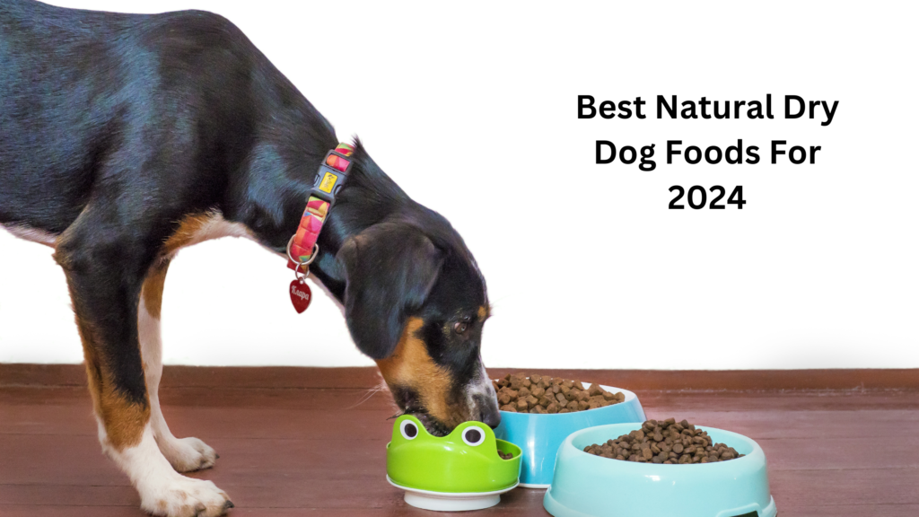 Best Natural Dry Dog Foods For 2024