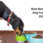 Best Natural Dry Dog Foods For 2024