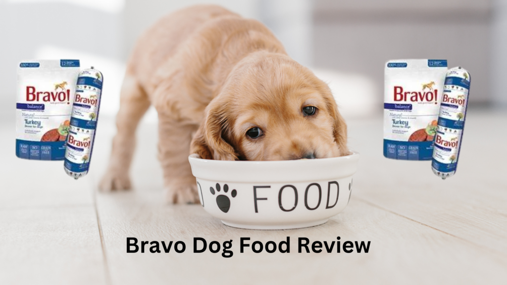 Bravo Dog Food Review