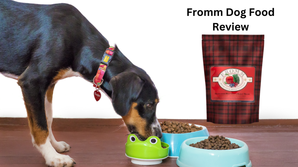 Fromm Dog Food Review