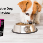 Raw Bistro dog food review, organic raw dog food, farm-fresh dog food, healthy raw meals for dogs