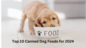 canned dog foods