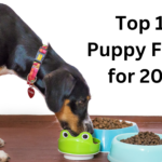 puppy foods