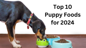 puppy foods