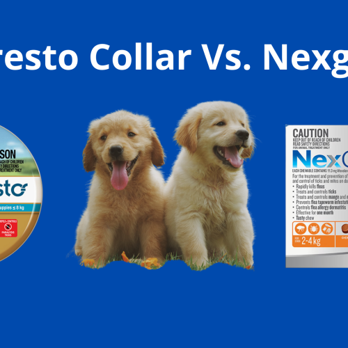 Seresto Collar vs. Nexgard: A Comprehensive Comparison for Flea and Tick Prevention