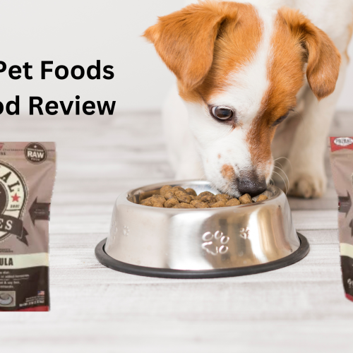 Primal Pet Foods Review: Raw Nutrition for a Healthier Dog