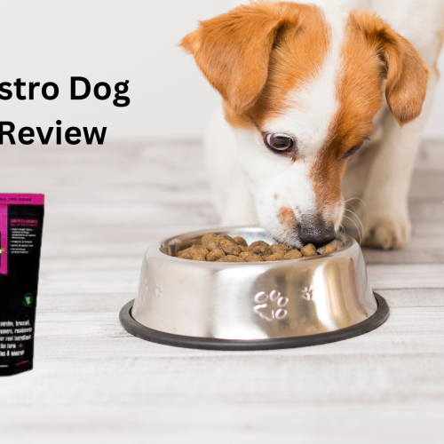 Raw Bistro Dog Food Review