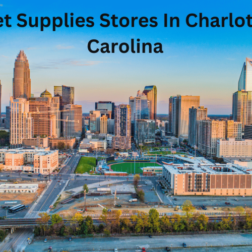 Top 10 Pet Supplies Stores in Charlotte, North Carolina