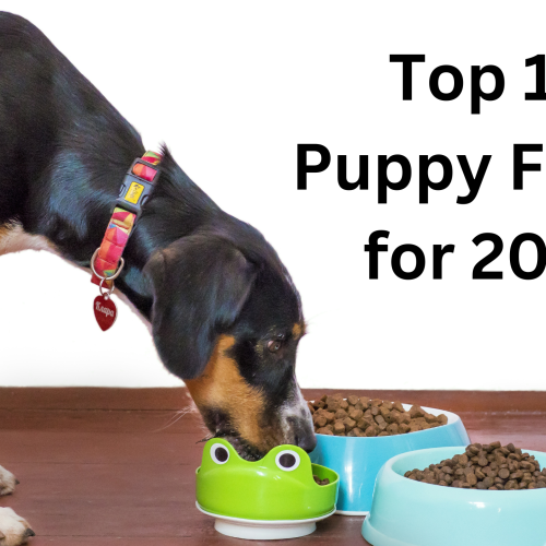 Top 10 Puppy Foods for 2024: Best Nutrition for Growing Pups