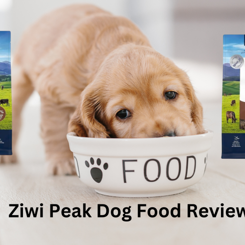 Ziwi Peak Dog Food Review: Air-Dried, High-Quality Nutrition for Dogs